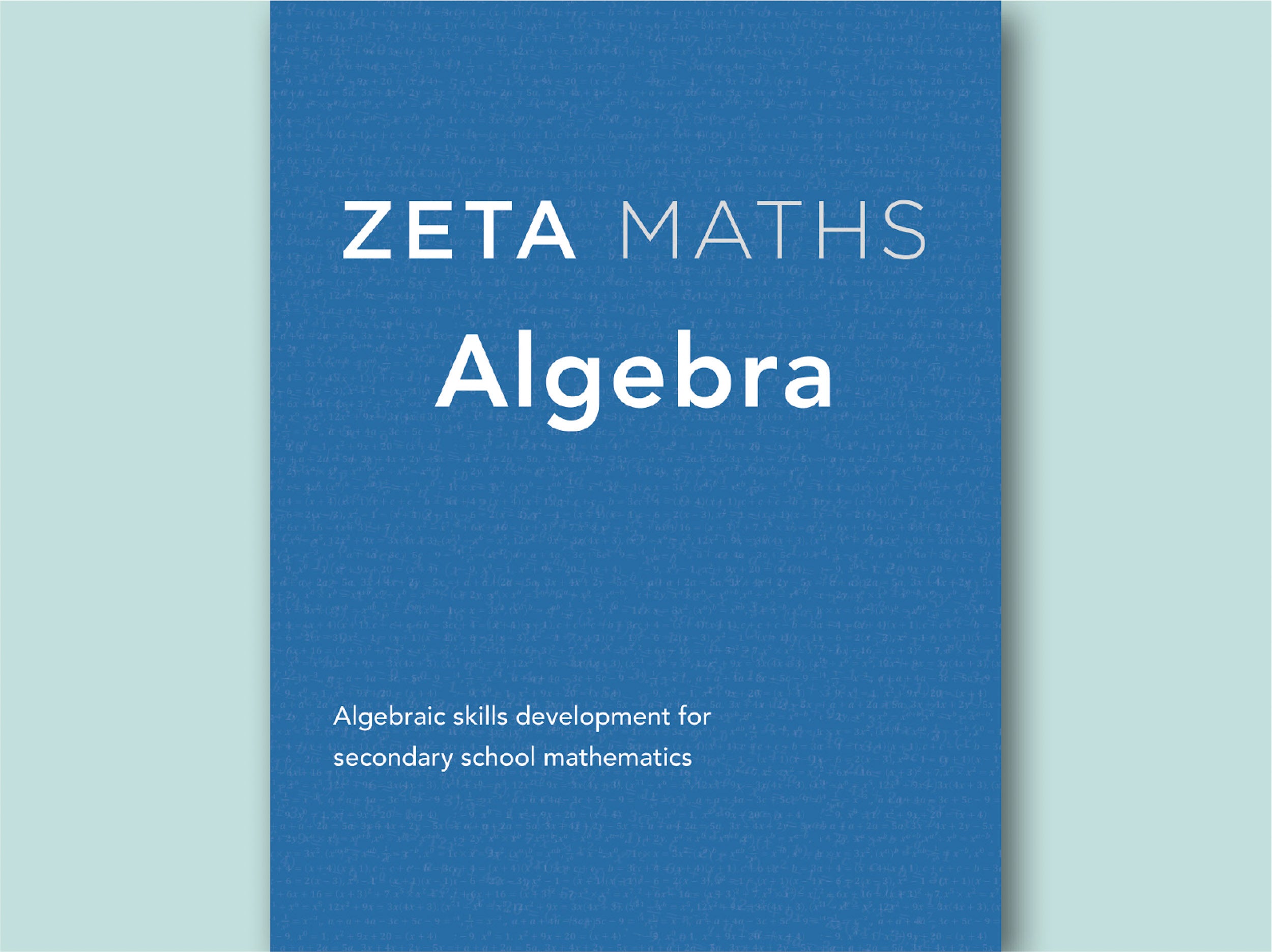 front cover of ZETA PRESS Algebra skills development for secondary school mathematics in the United Kingdom 